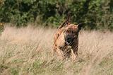 FILA BRASILEIRO 130